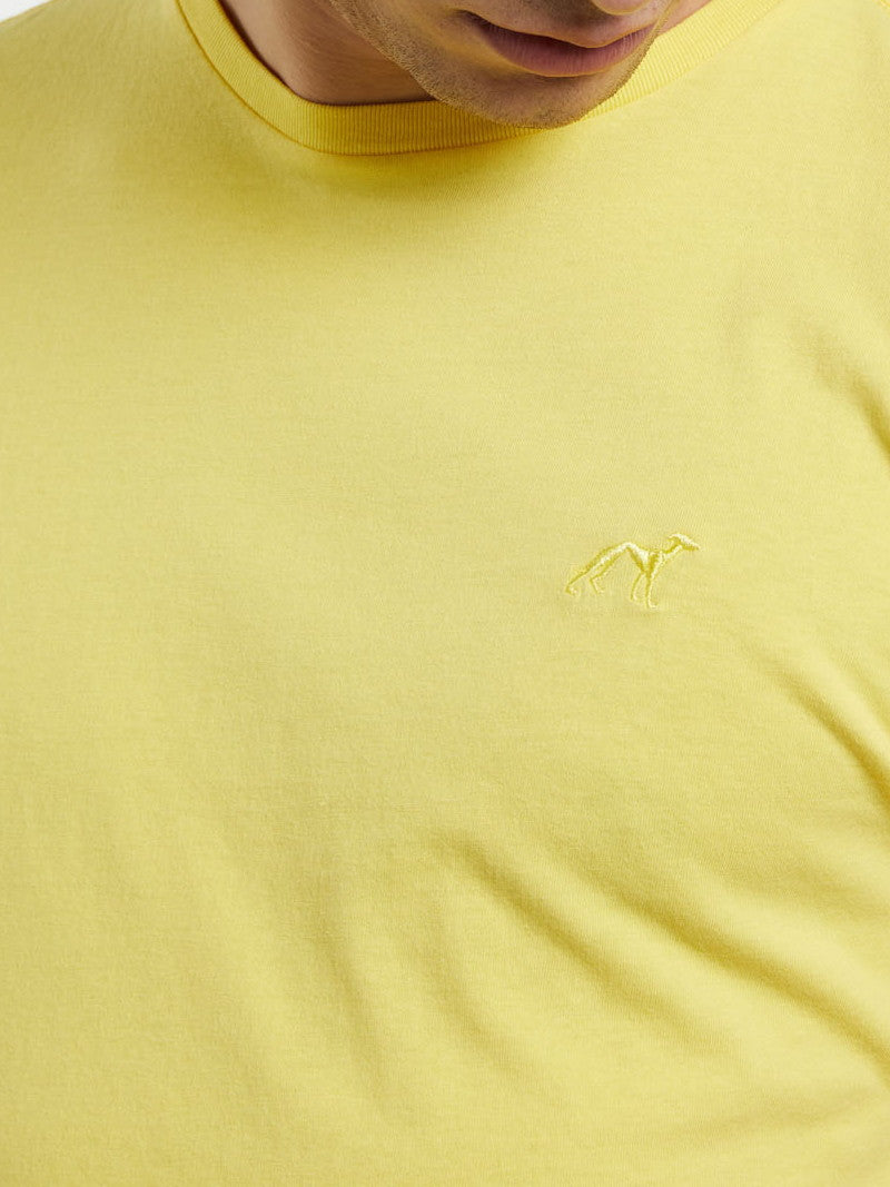 Amarelo Claro