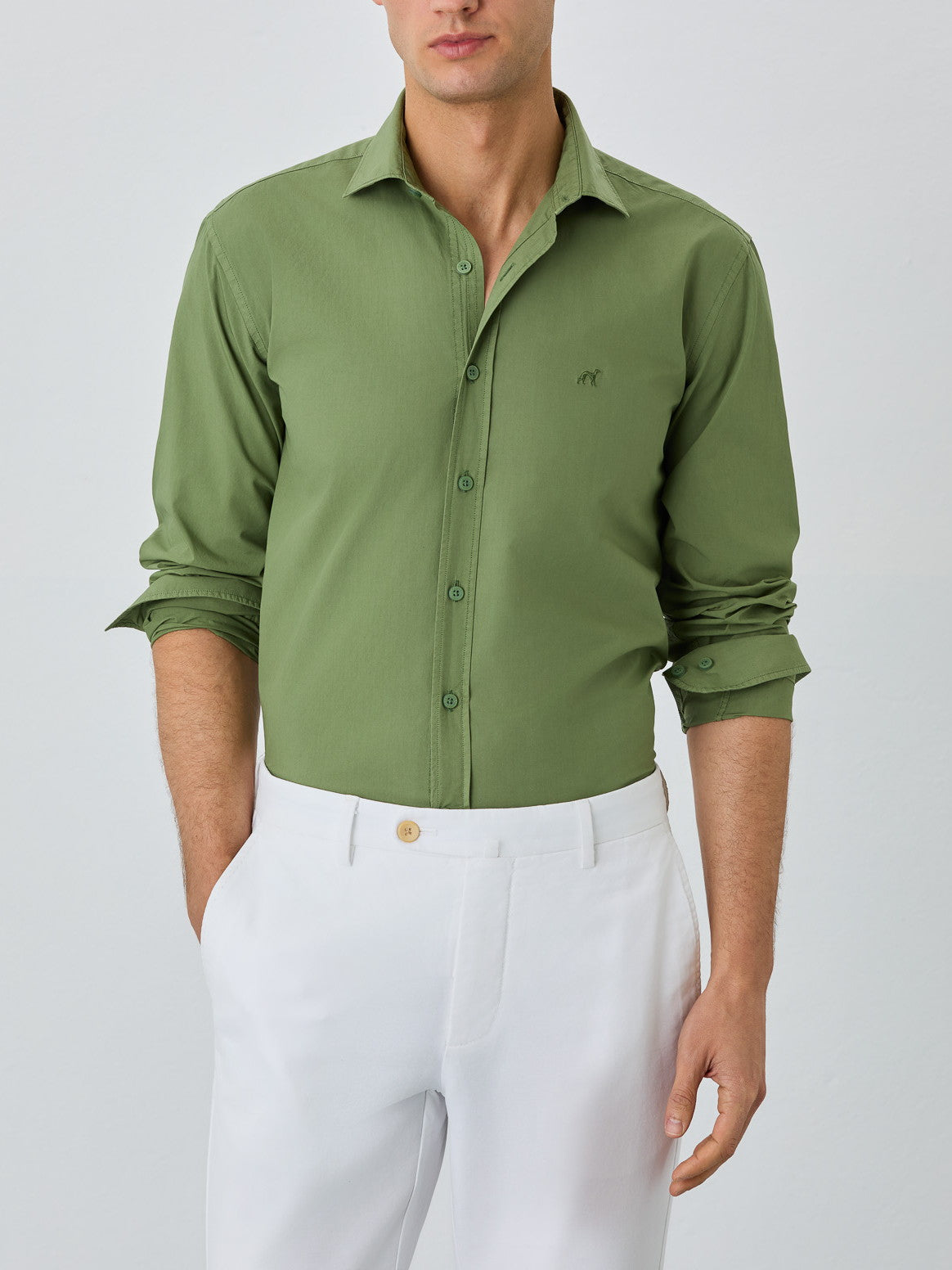 Verde Azeitona