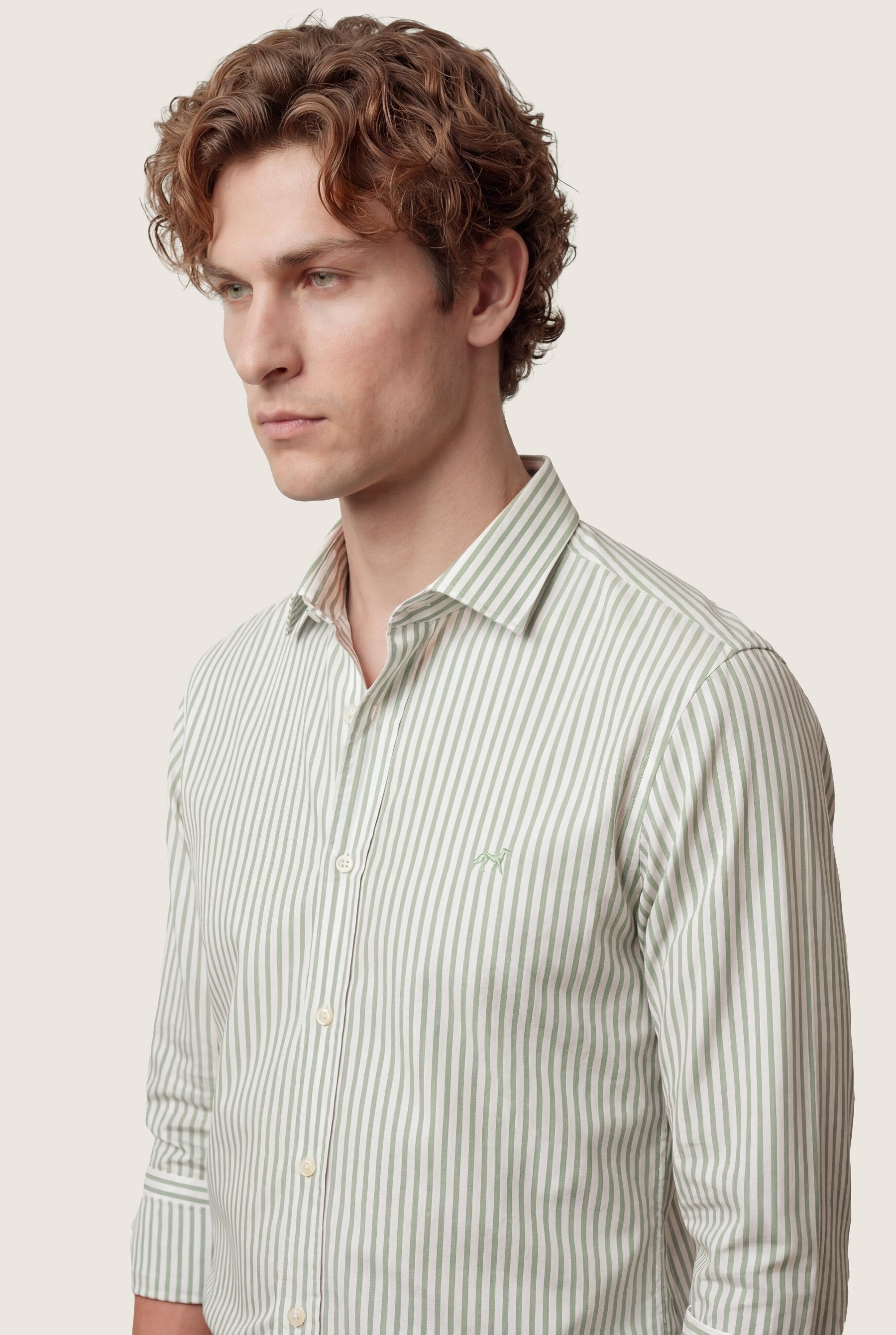 Cinzento Escuro (AI)