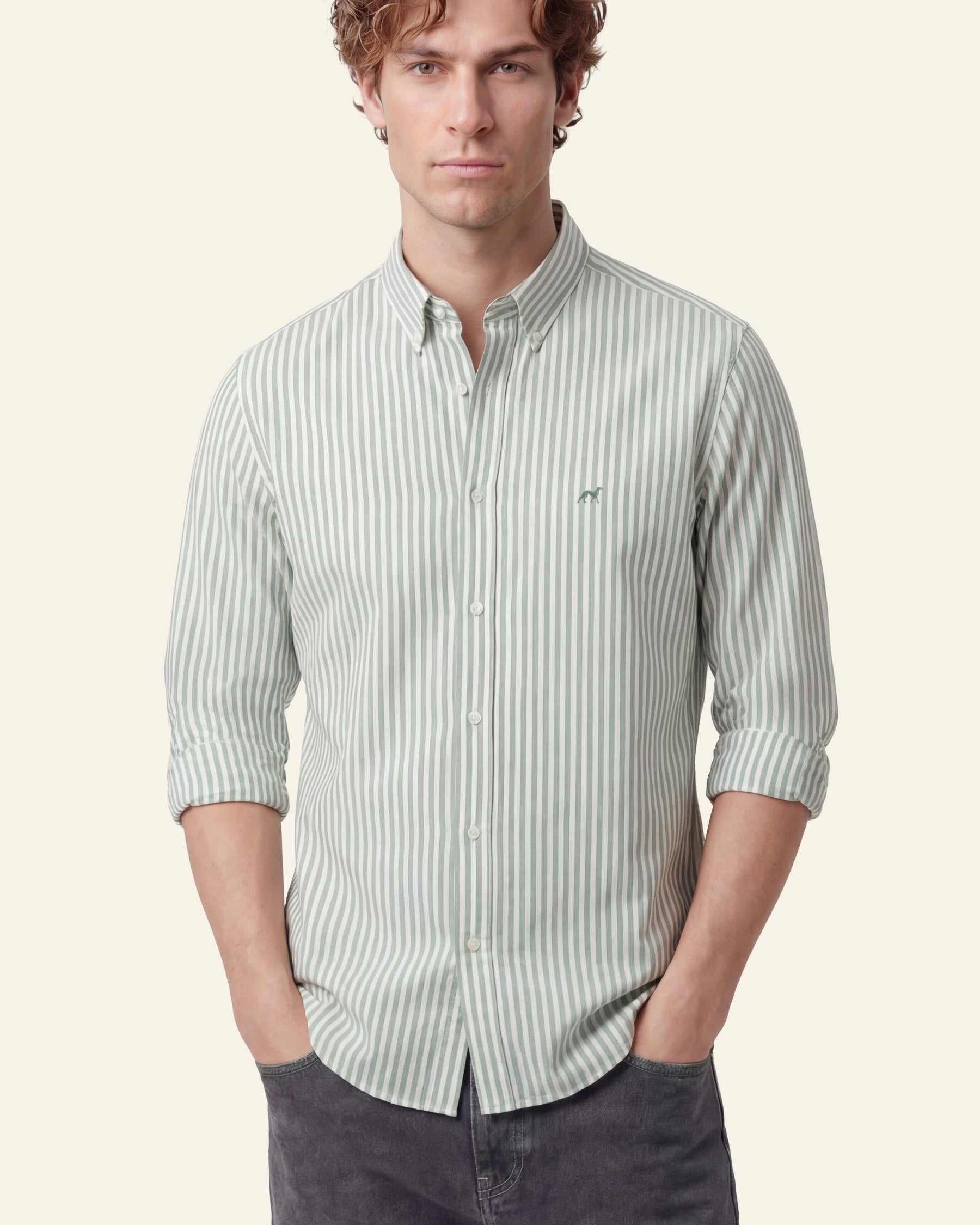 Cinzento Escuro (AI)