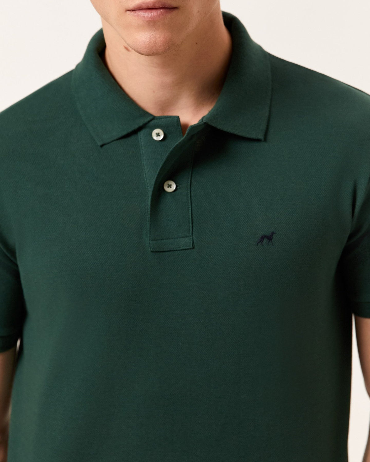 Verde Escuro