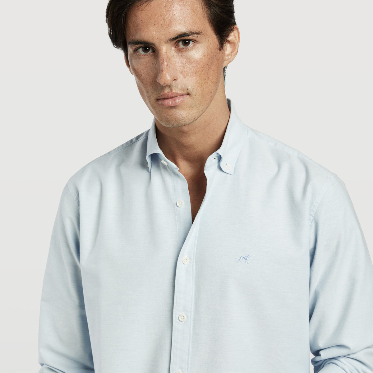 Timeless Essential Regular Fit Plain Oxford Shirt – Sacoor Brothers