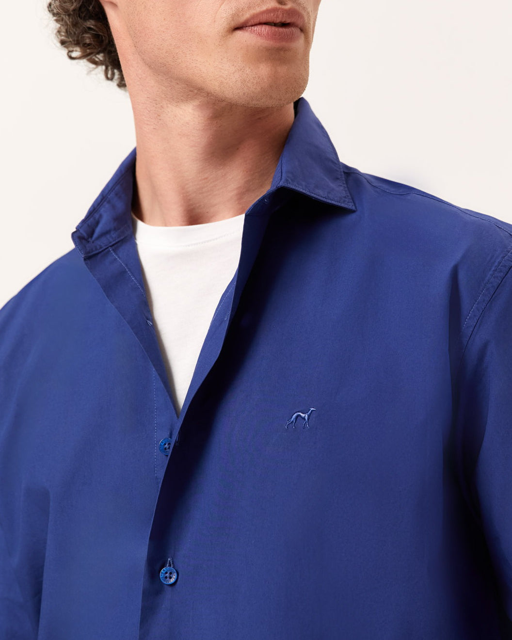 Azul Royal