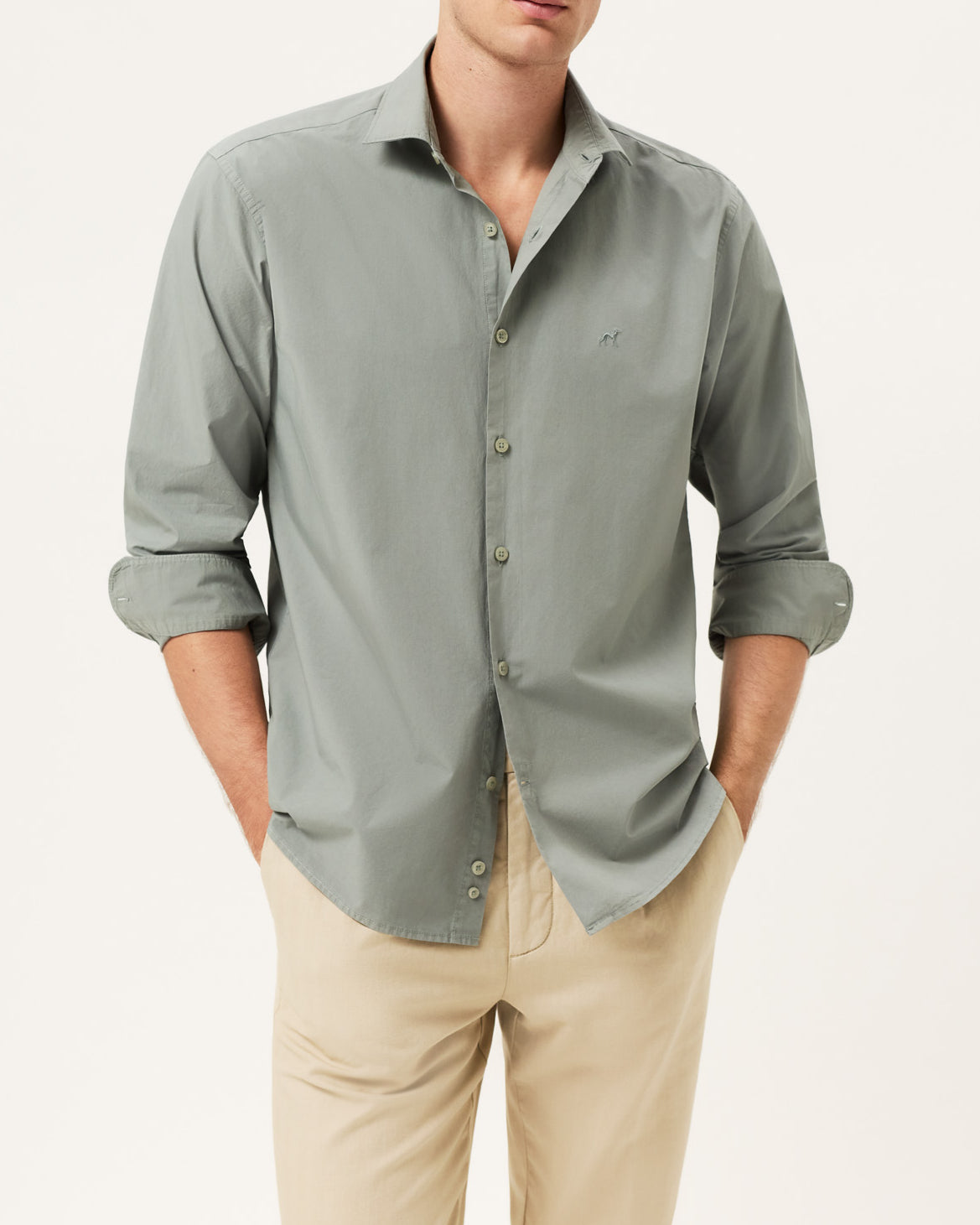 Verde