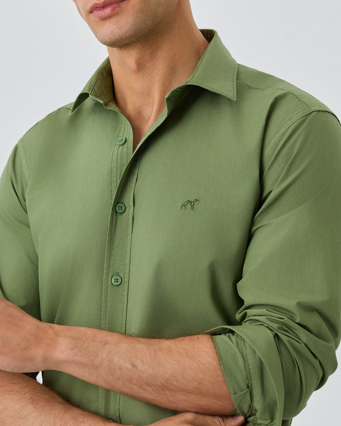 Verde Azeitona