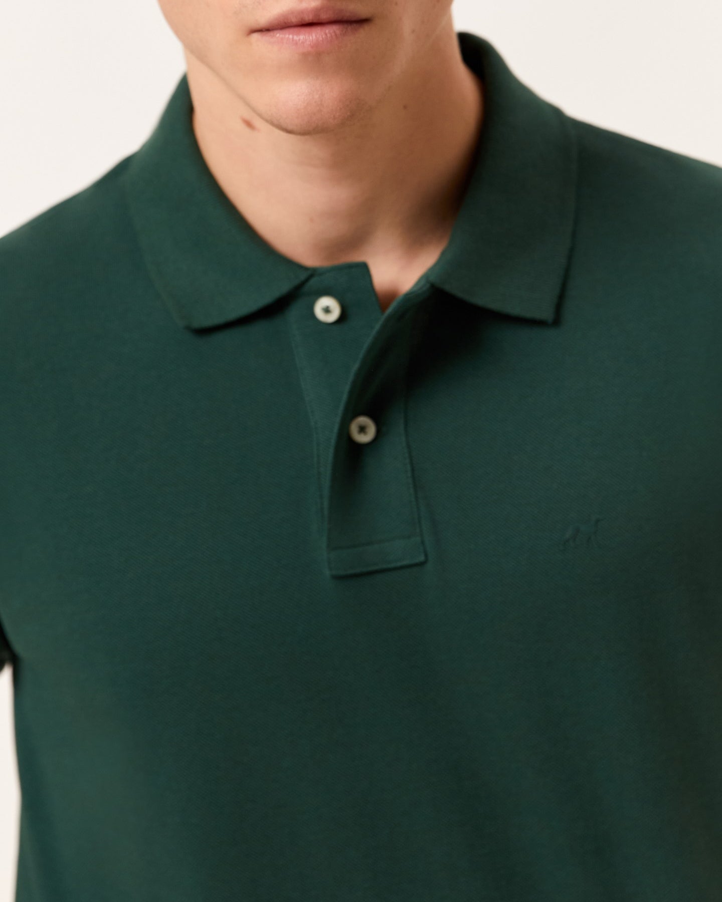 Verde Escuro