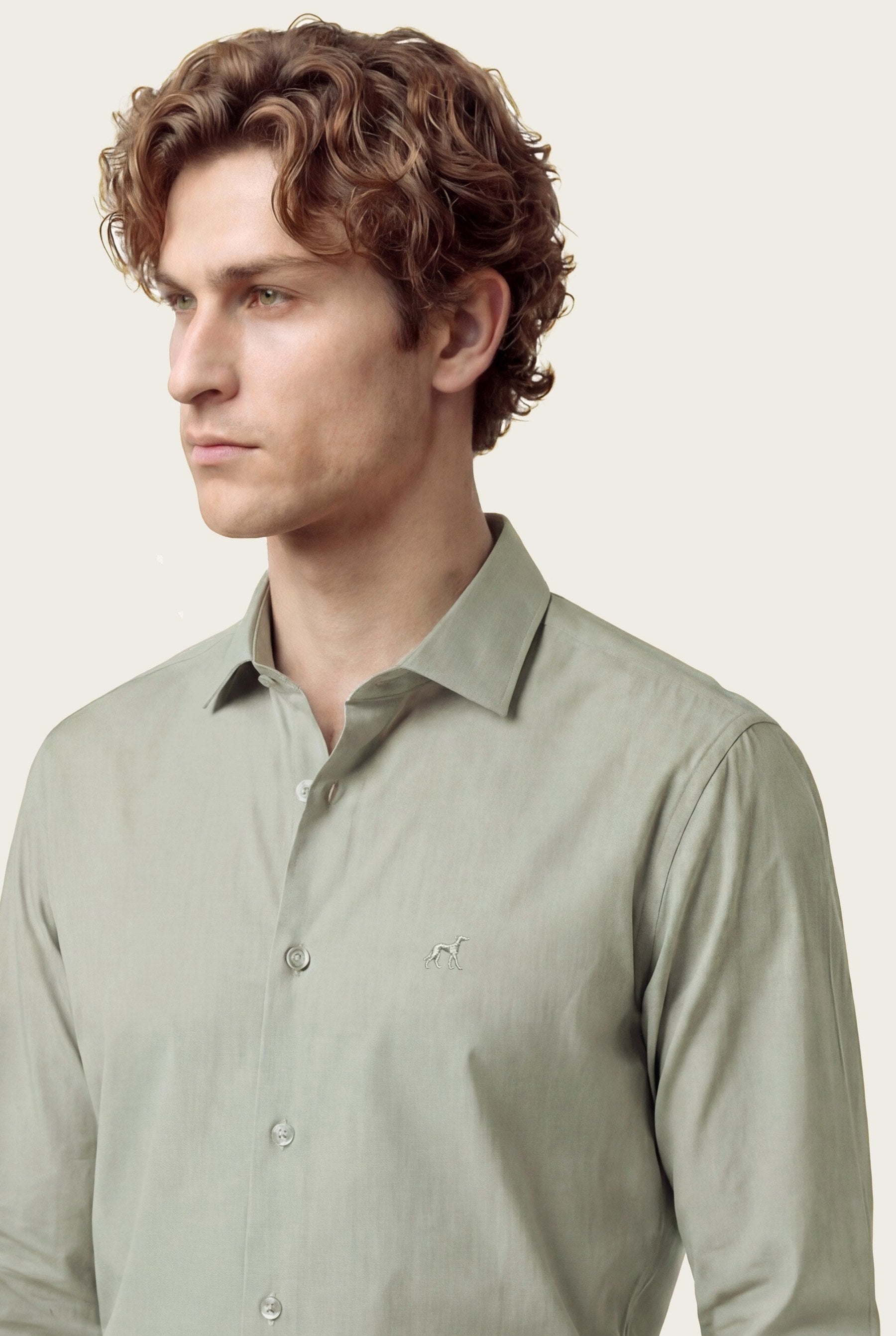 Cinzento Escuro (AI)