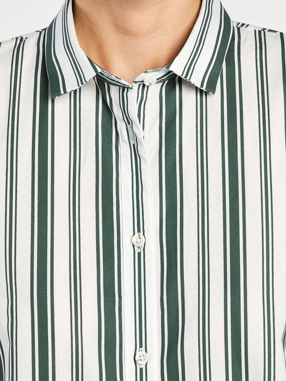 Verde Escuro