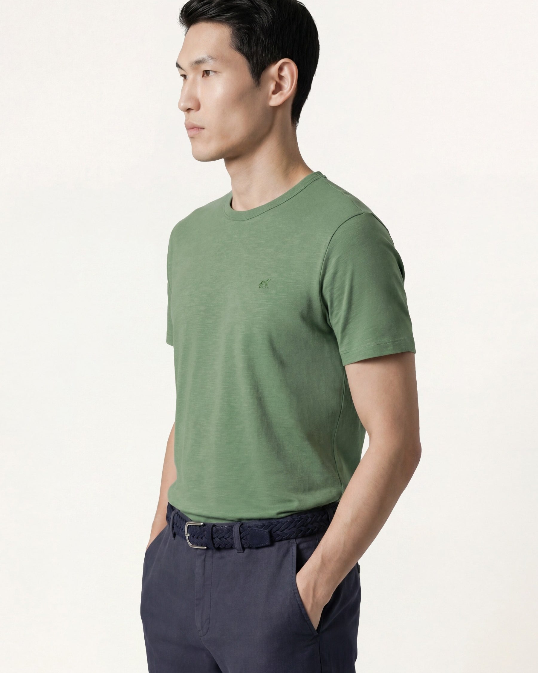 Verde (AI)