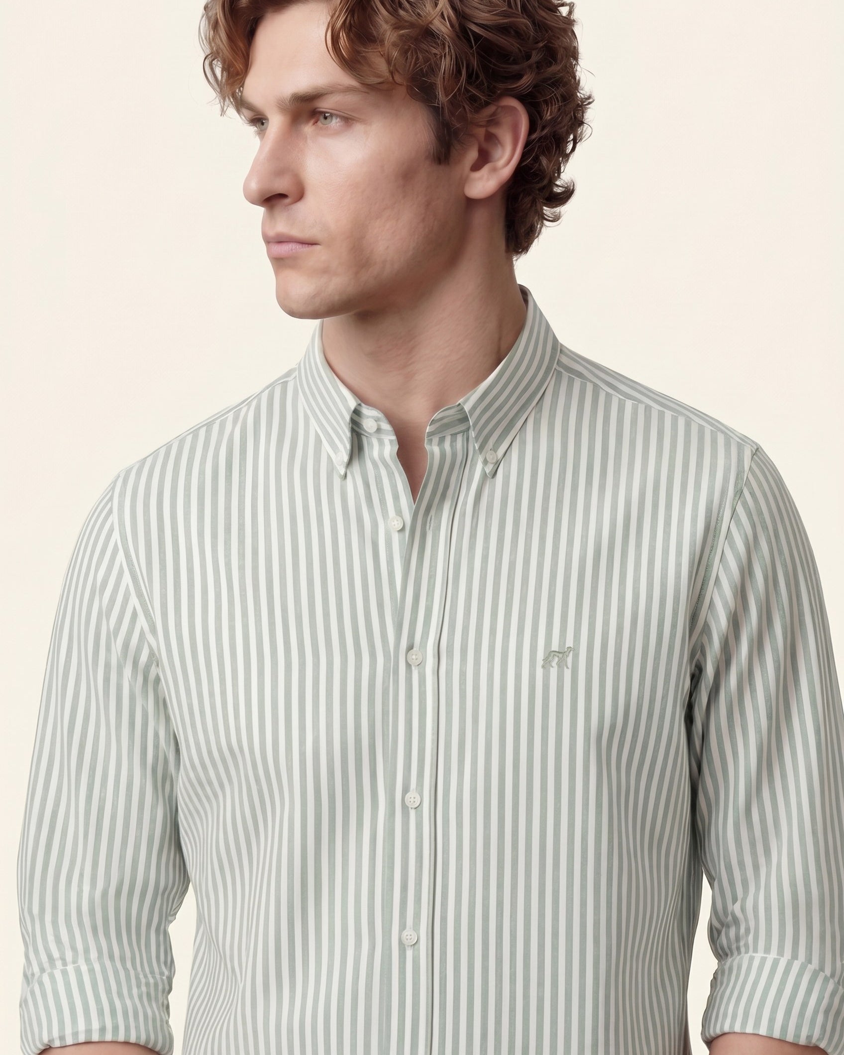 Cinzento Escuro (AI)