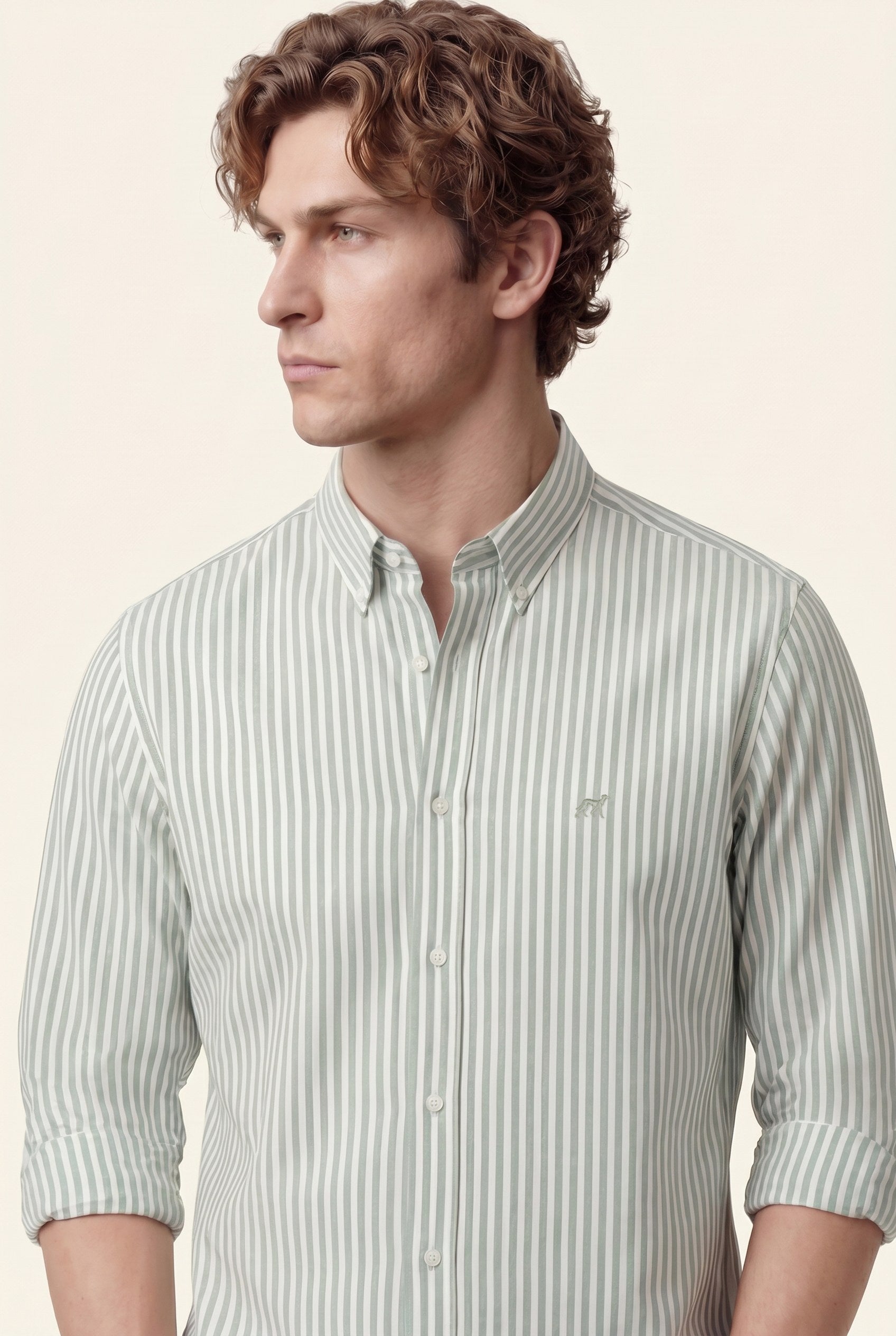 Cinzento Escuro (AI)