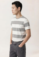 Cinzento Escuro (AI)