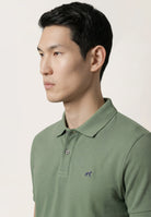 Verde (AI)