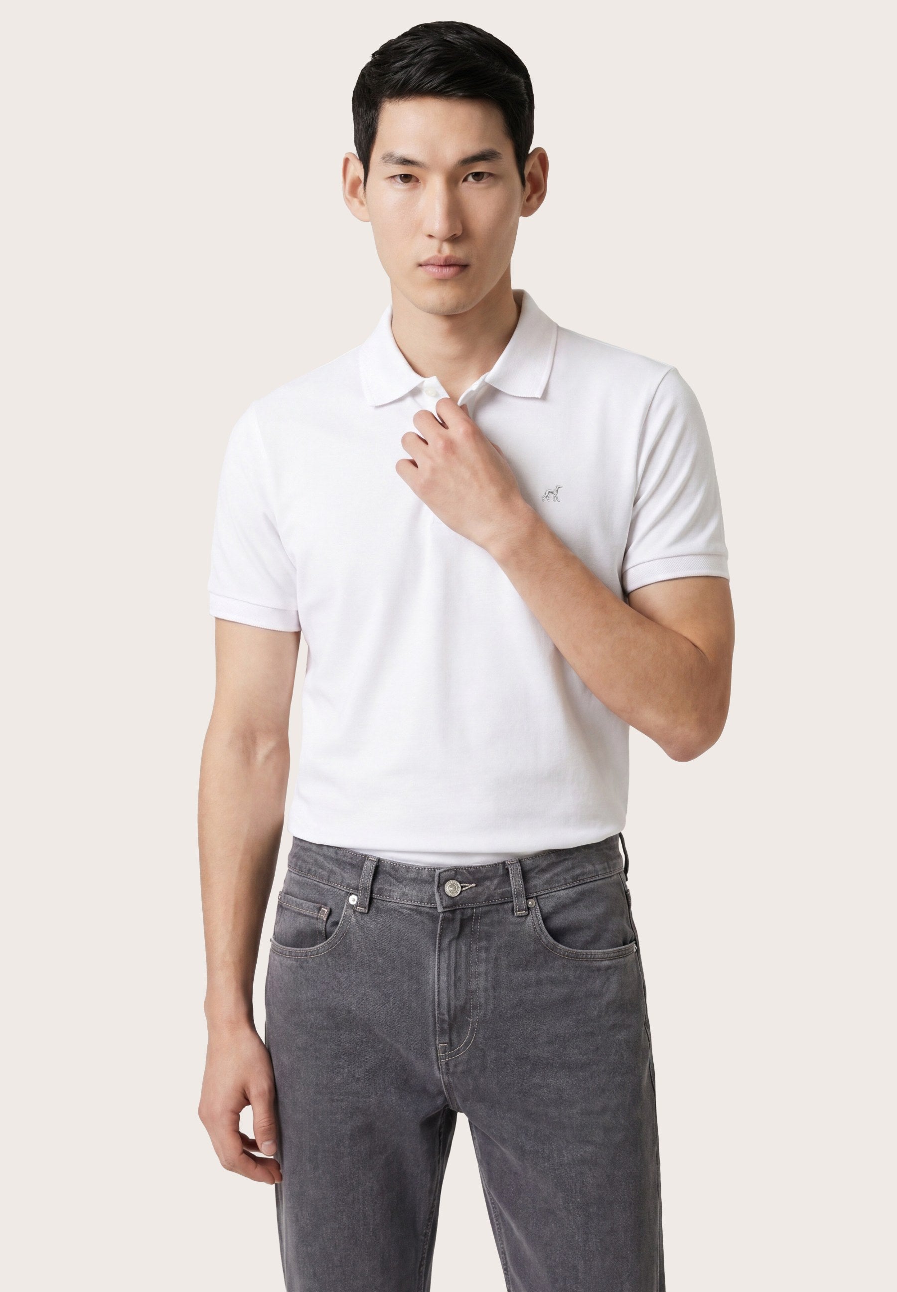 Cinzento Escuro (AI)