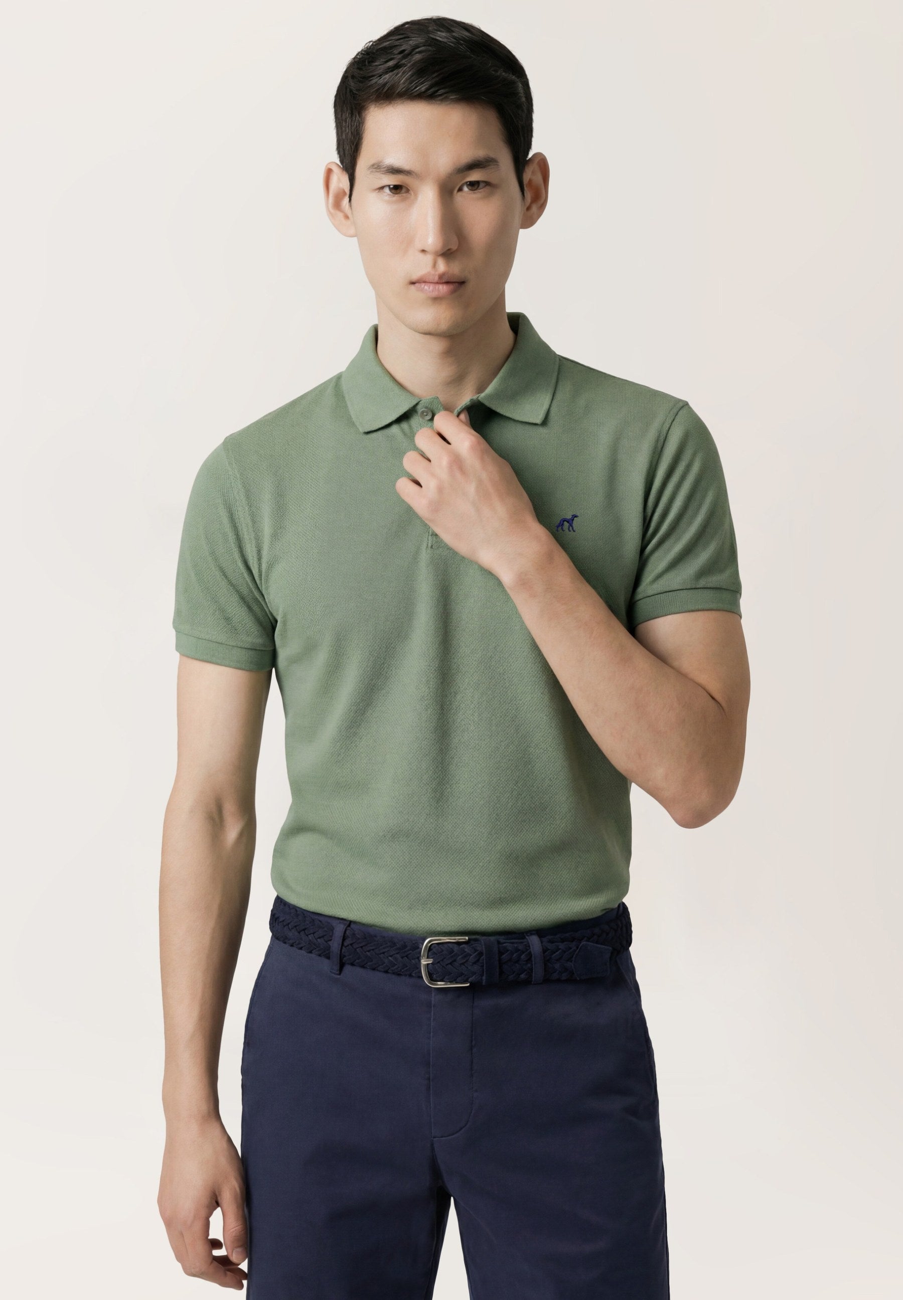 Verde (AI)