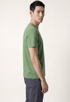 Verde (AI)