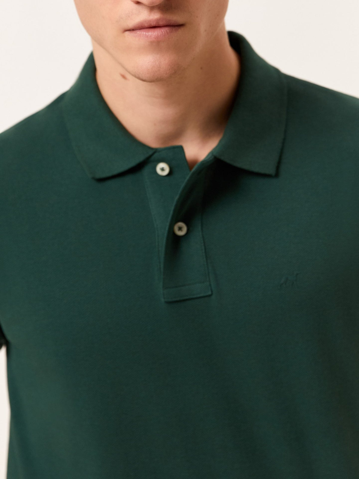 Verde Escuro