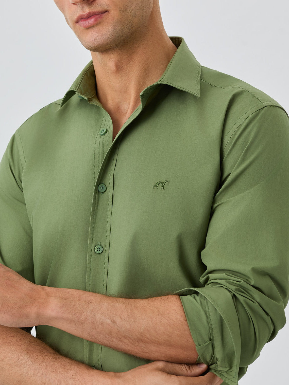 Verde Azeitona