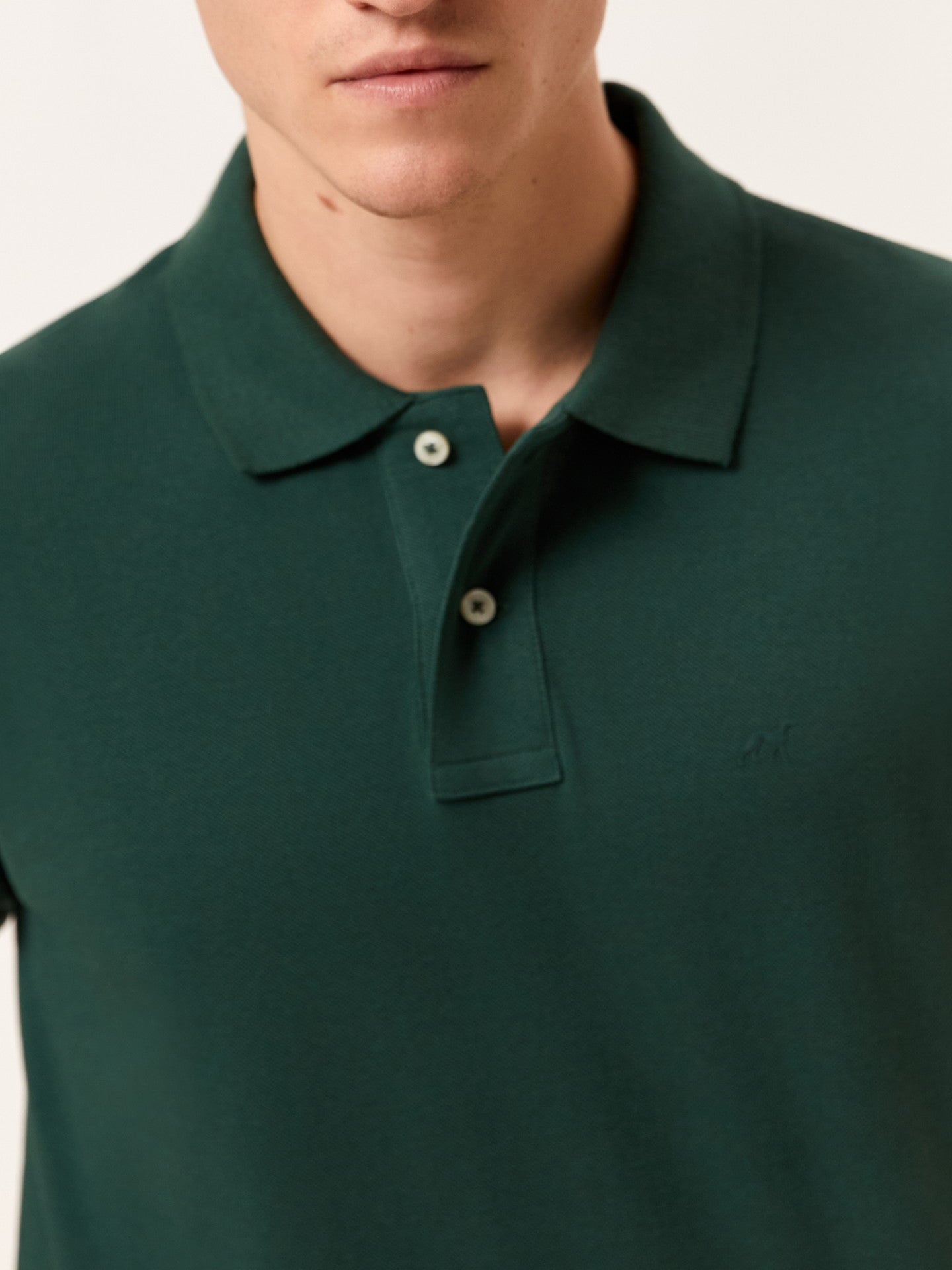 Verde Escuro