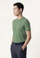 Verde (AI)