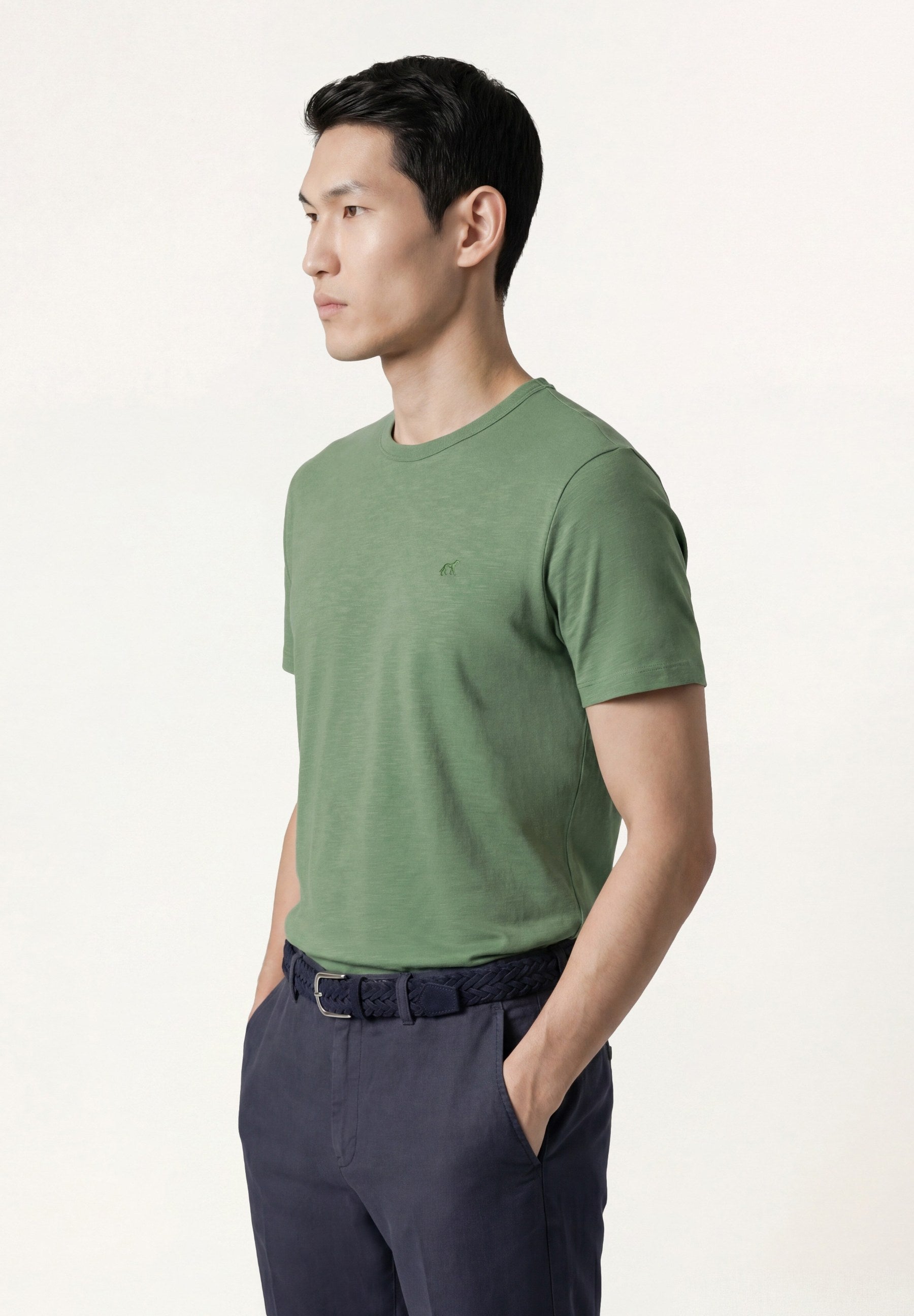 Verde (AI)