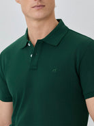 Verde Escuro